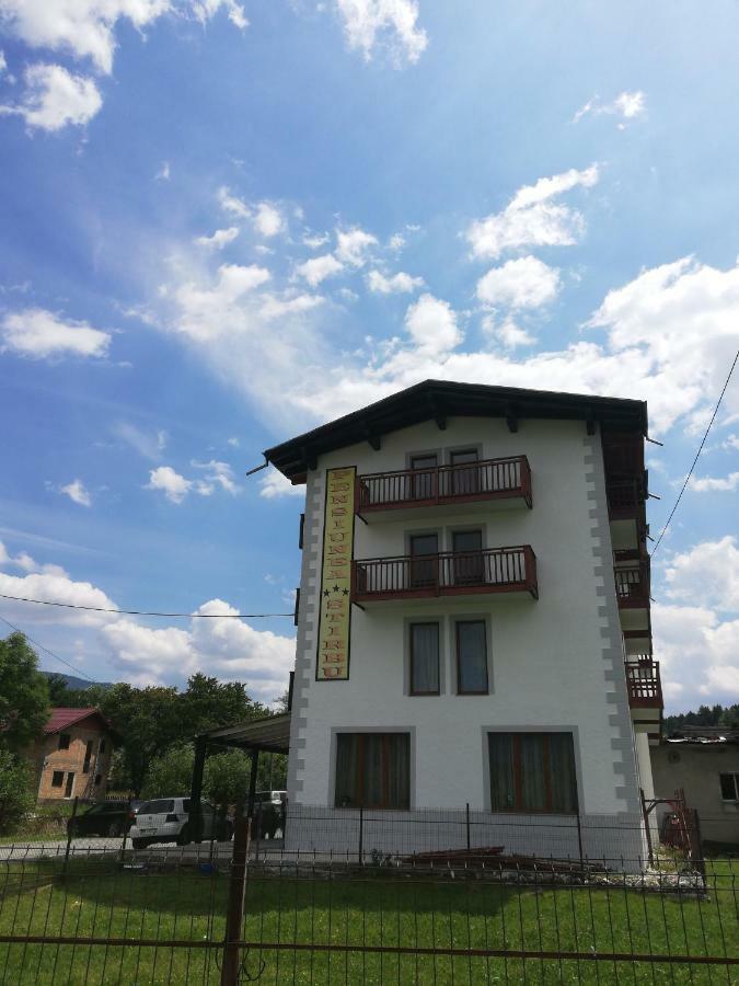 Pensiune Stirbu Borsa  Bagian luar foto